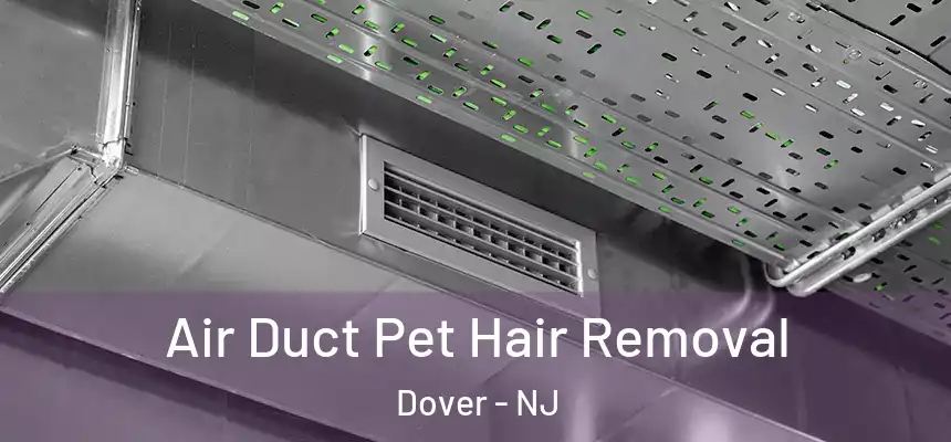  Air Duct Pet Hair Removal Dover - NJ