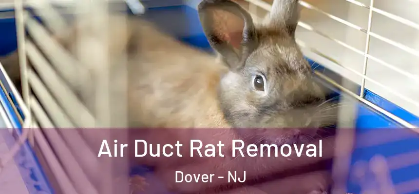 Air Duct Rat Removal Dover - NJ