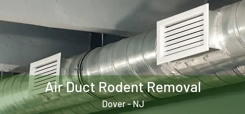  Air Duct Rodent Removal Dover - NJ