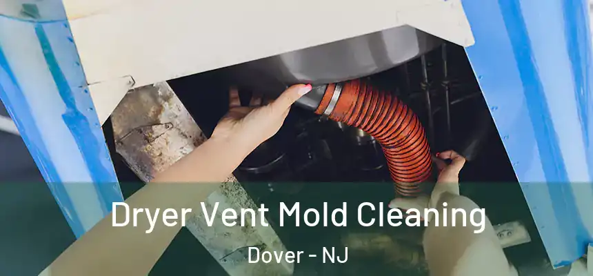  Dryer Vent Mold Cleaning Dover - NJ
