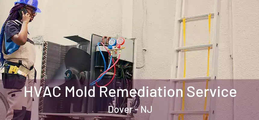 HVAC Mold Remediation Service Dover - NJ