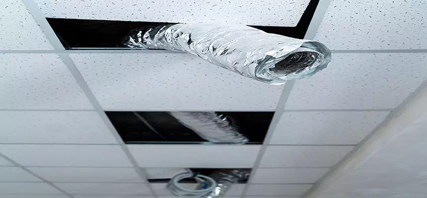 Our Air Duct Pet Hair Removal Services in Dover, NJ