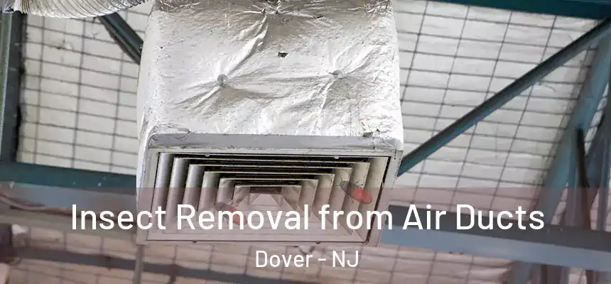 Insect Removal from Air Ducts Dover - NJ