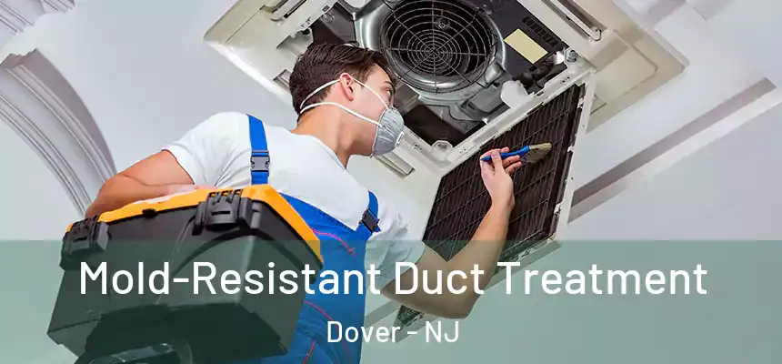  Mold-Resistant Duct Treatment Dover - NJ