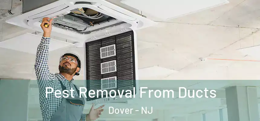  Pest Removal From Ducts Dover - NJ