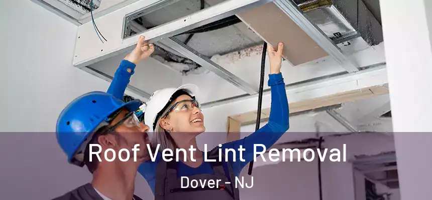  Roof Vent Lint Removal Dover - NJ