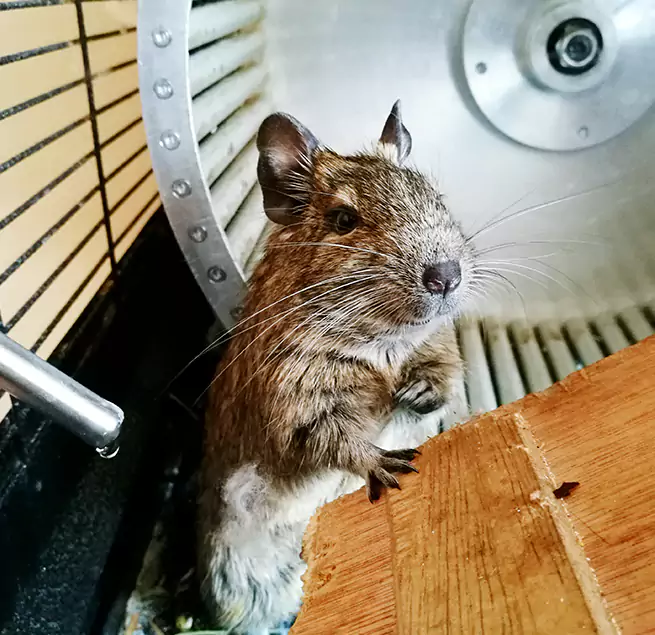 Why Homeowners & Businesses Trust Us Dover, NJ