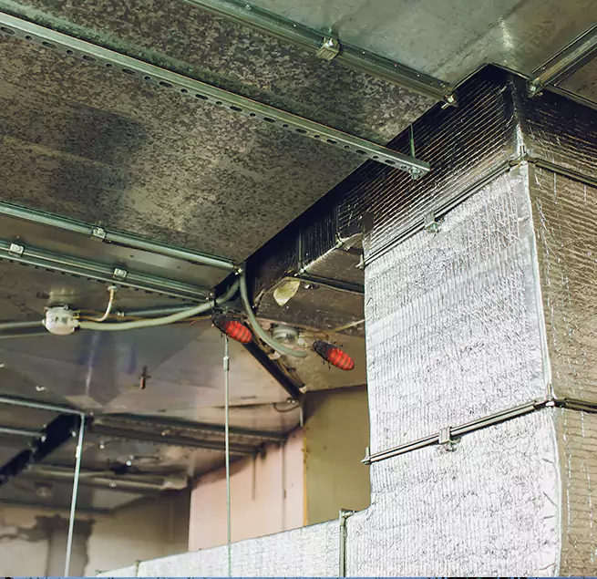 Why Homeowners & Businesses Trust Us Dover, NJ?