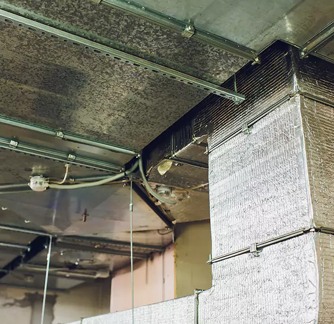 Why Homeowners & Businesses Trust Us in Dover, NJ?