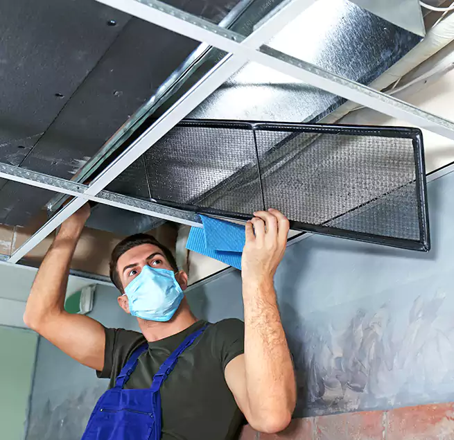 Why Homeowners Businesses Trust Us in Dover, NJ